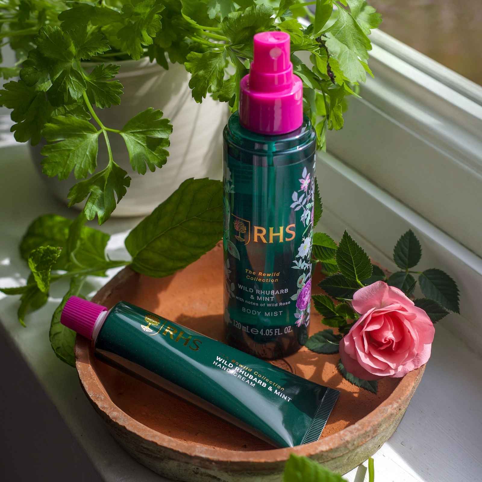 RHS Rewild Rhubarb and Mint Hand Cream 50ml - Image 2